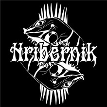 Load image into Gallery viewer, Hribernik Skateboards Punk Iguana T-Shirt White On Black