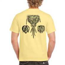 Load image into Gallery viewer, Beek T-Shirt
